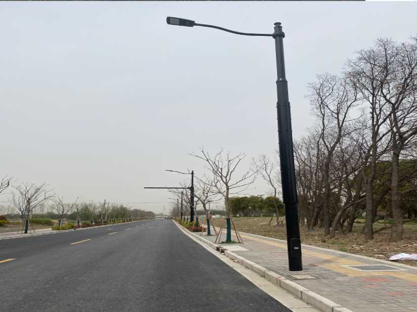 镇安县上海综合杆 太阳能路灯工程